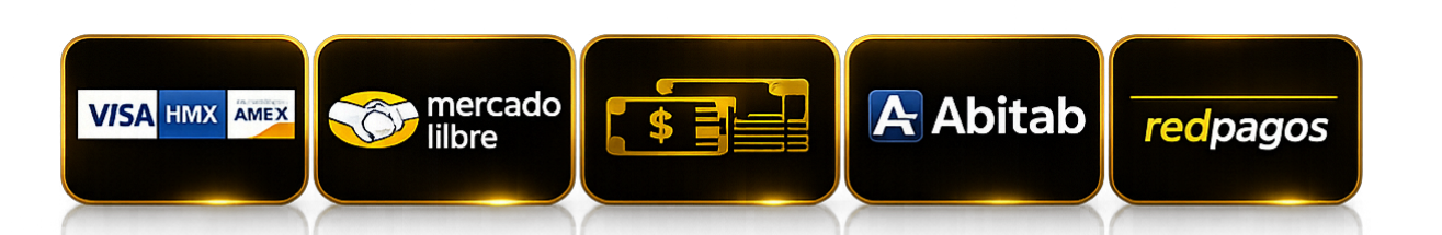 Formas de pago: Mercado Libre, Tarjetas de crédito, Abitab, Redpagos, Transferencia